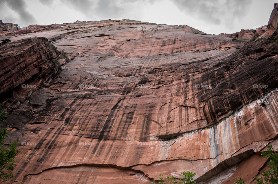 Look up mission. Zion park in Utah looking up 