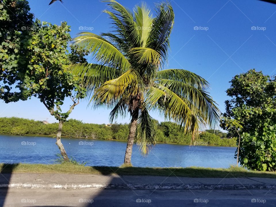 Lagoa de Piratininga.