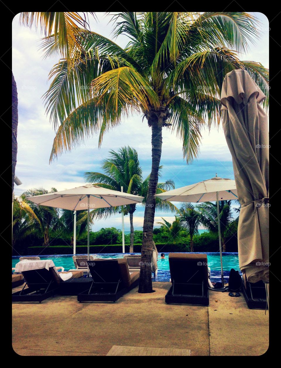 Palm, Beach, Resort, Tropical, Vacation