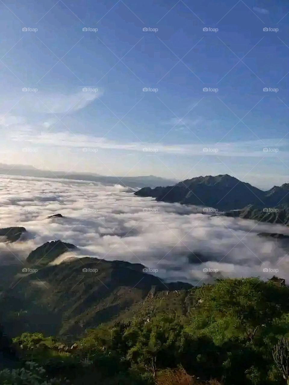 Glory be to God, the magnificent and picturesque view and the natural green trees are a view that is nothing more wonderful than it