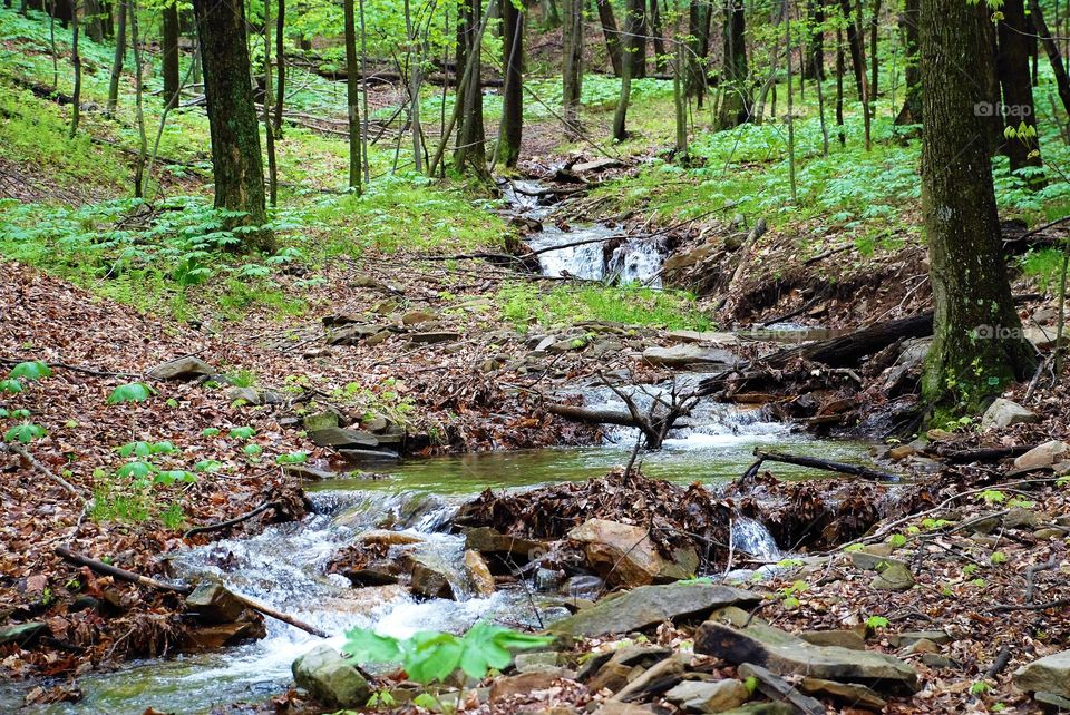 Valley stream