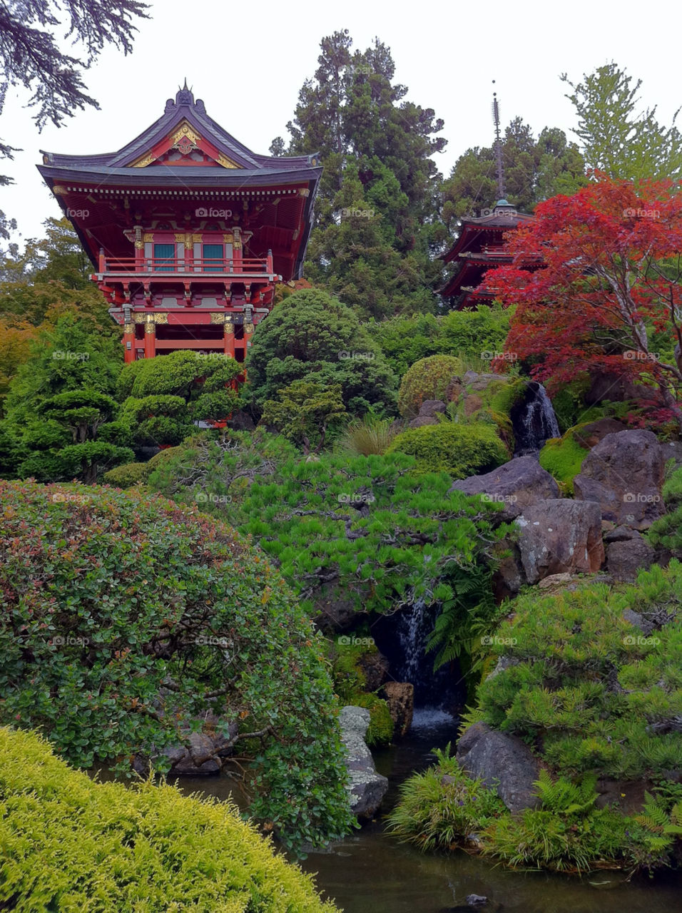Japanese tea garden at golden gate park