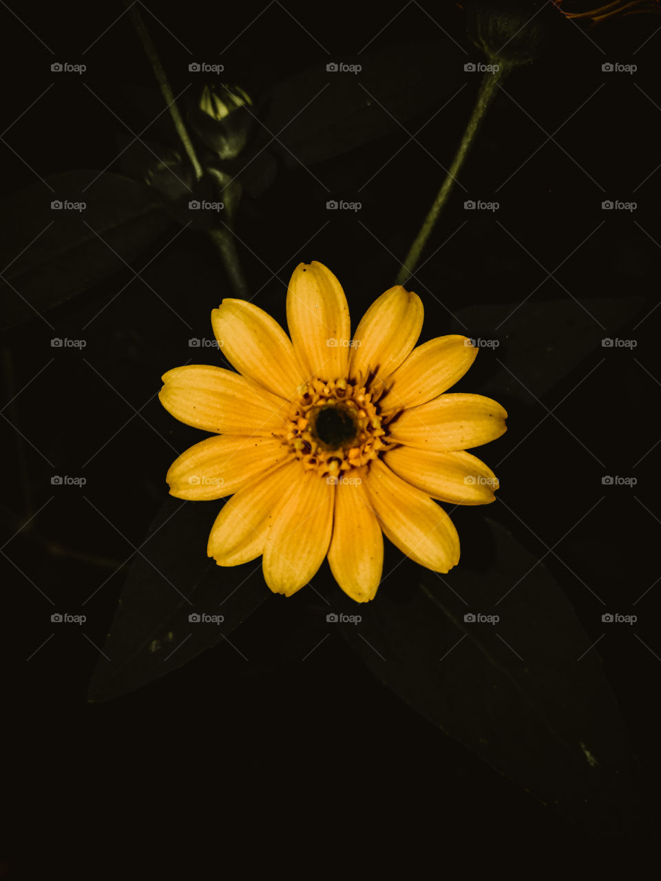 Love is like a flower, if you just "like" it will pick it up, but if "love" we will take care of watering it well.