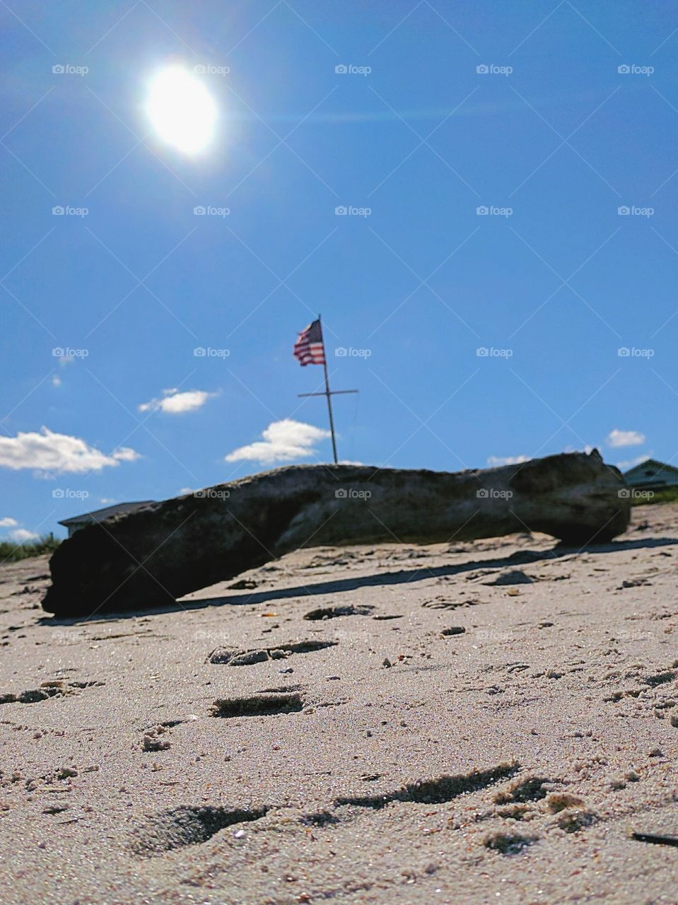 large log drifted up onto the beach with an American flag in the background