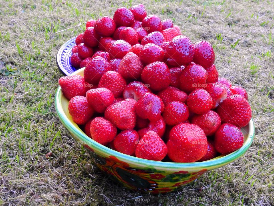 A bowl of berries
