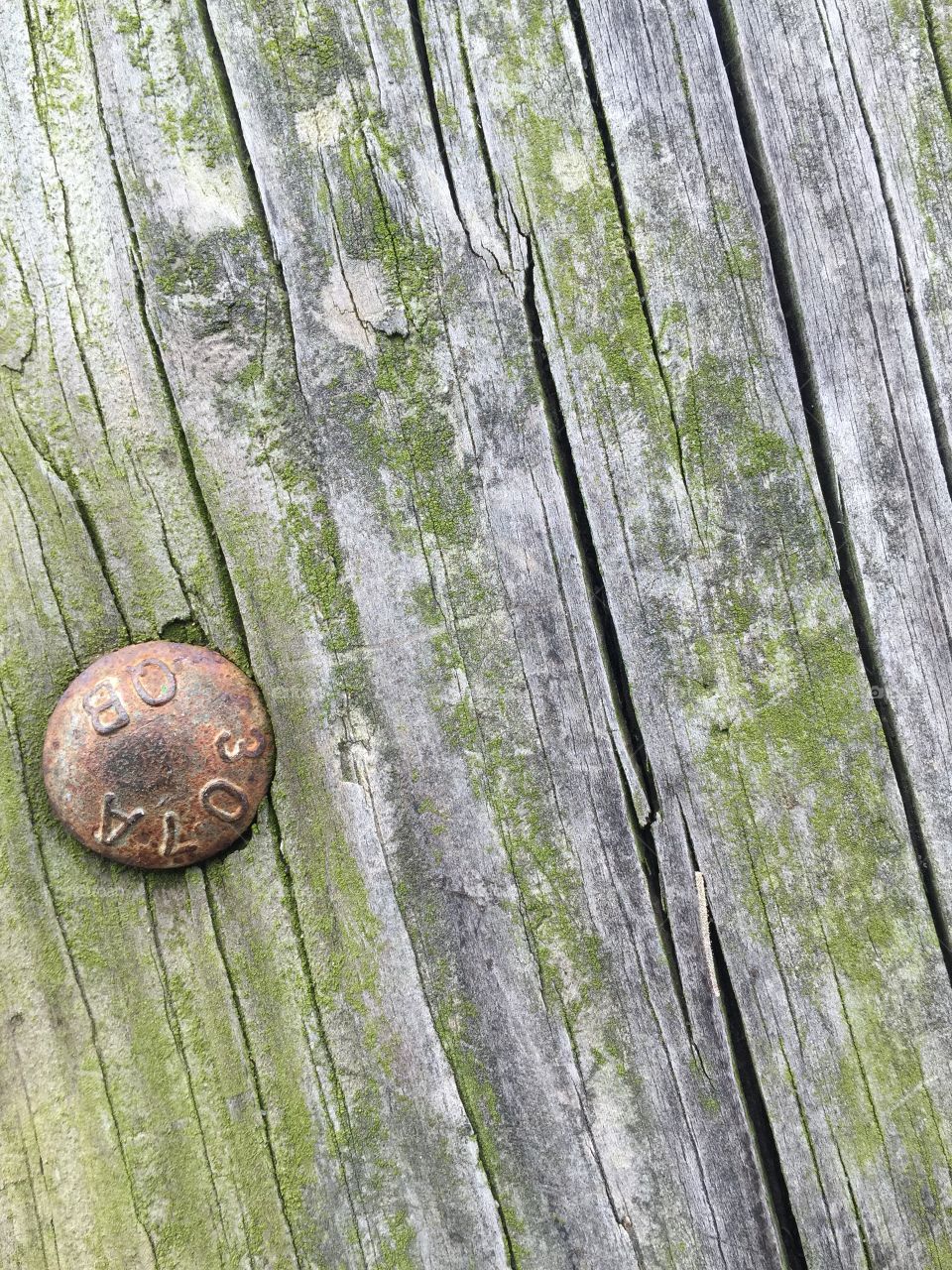 Wood pattern closeup