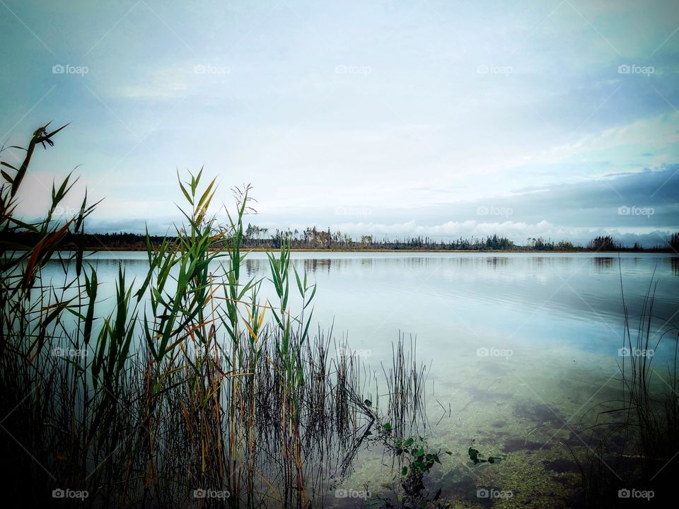 Peaceful lake 