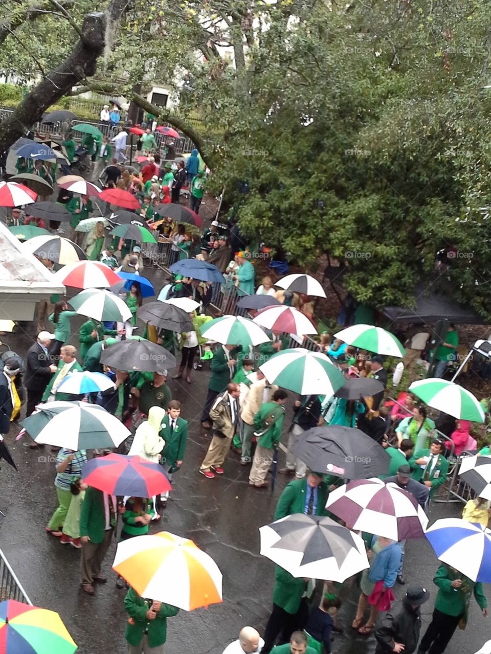 Festival in the Rain