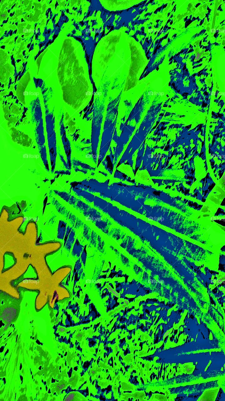 a clash of colors  green and blue  leaves and yellow flowers abstact