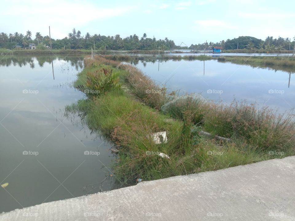 There is a beauty in that green division💖✨