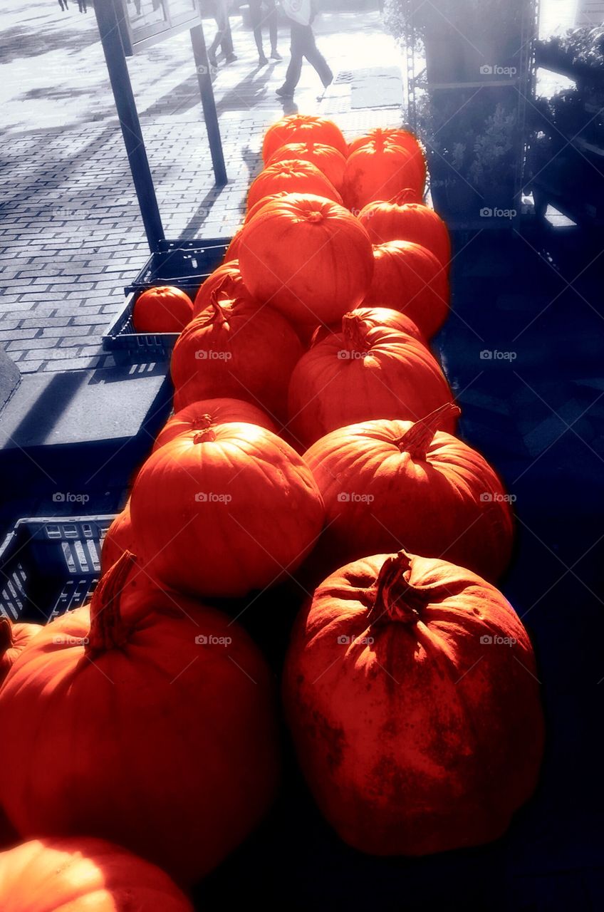 Pumpkins. Display of pumpkins 