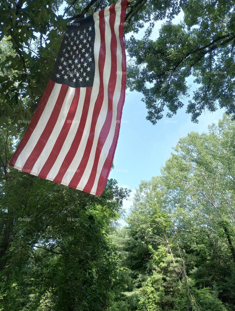 Flag from Tree