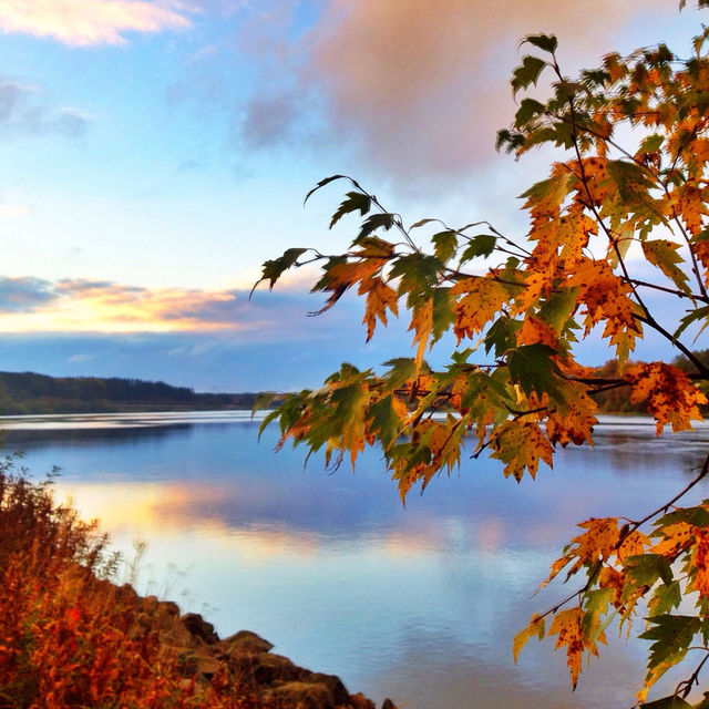 fall