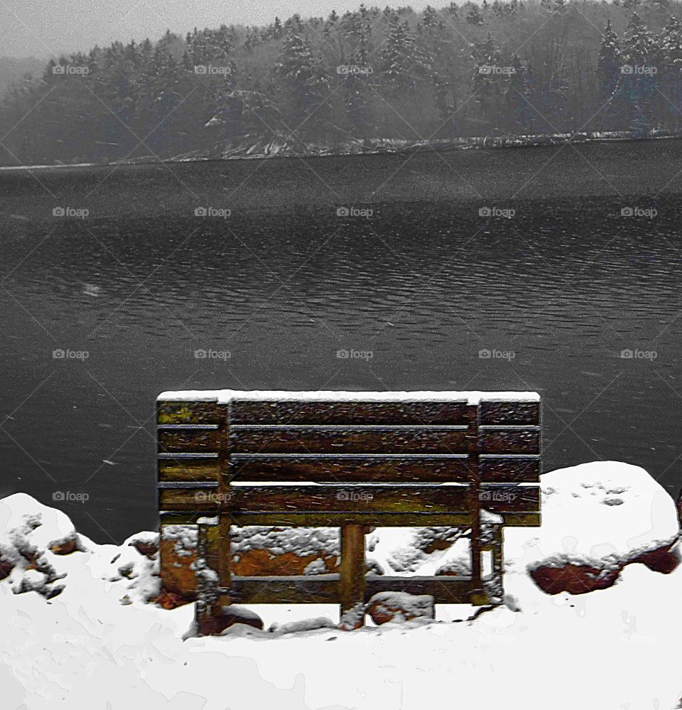 Empty Bench Near the Icy Water