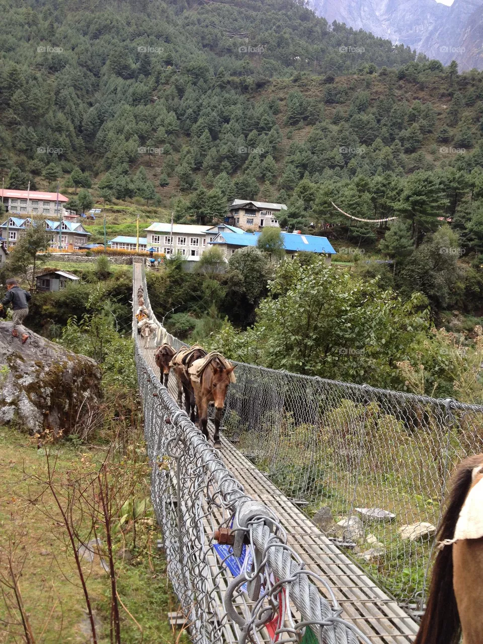 enjoy trekking