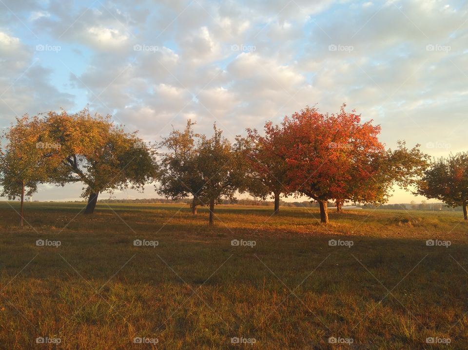 first signs of autumn