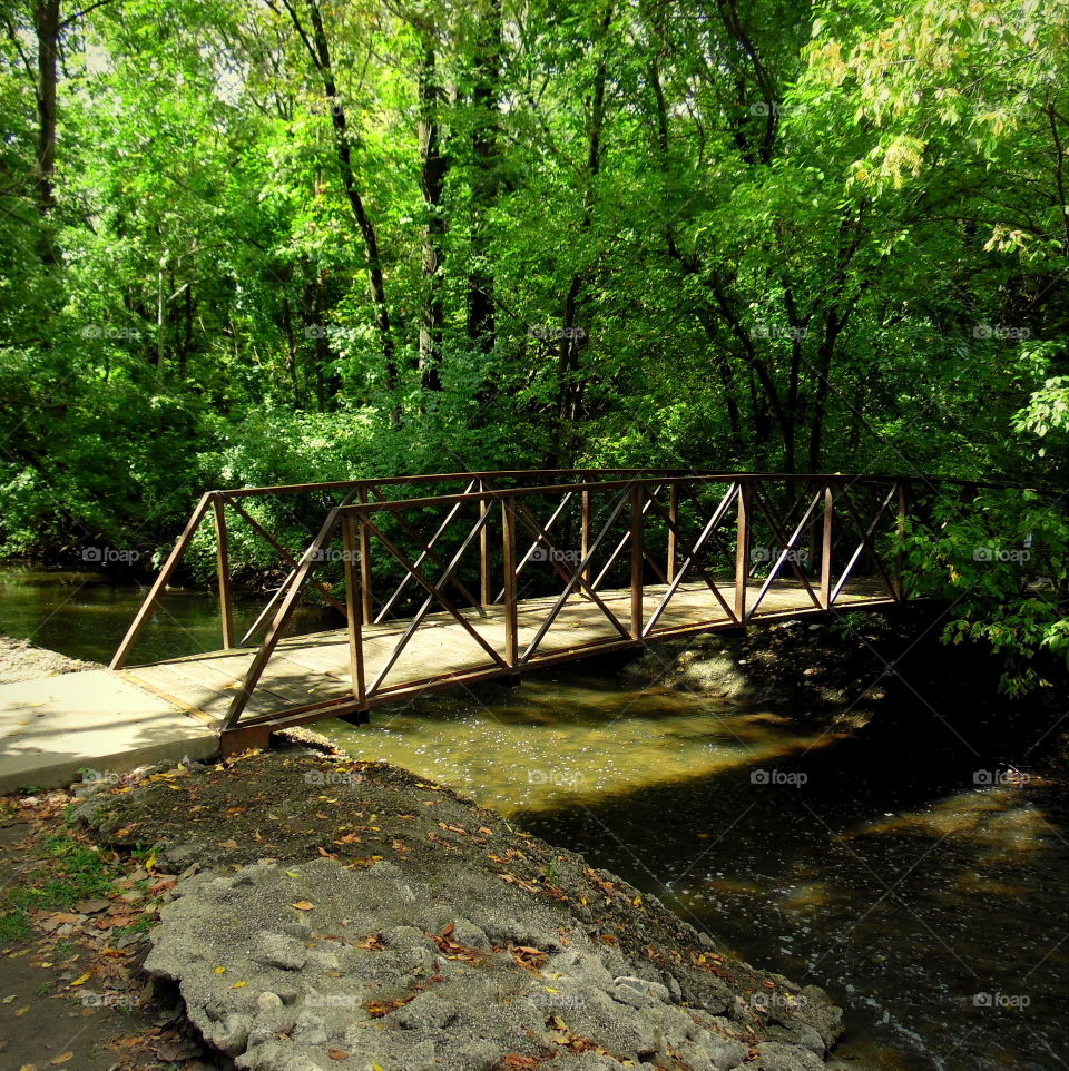 This is a bridge going over a creek in a park taken on a warm sunny summer day.