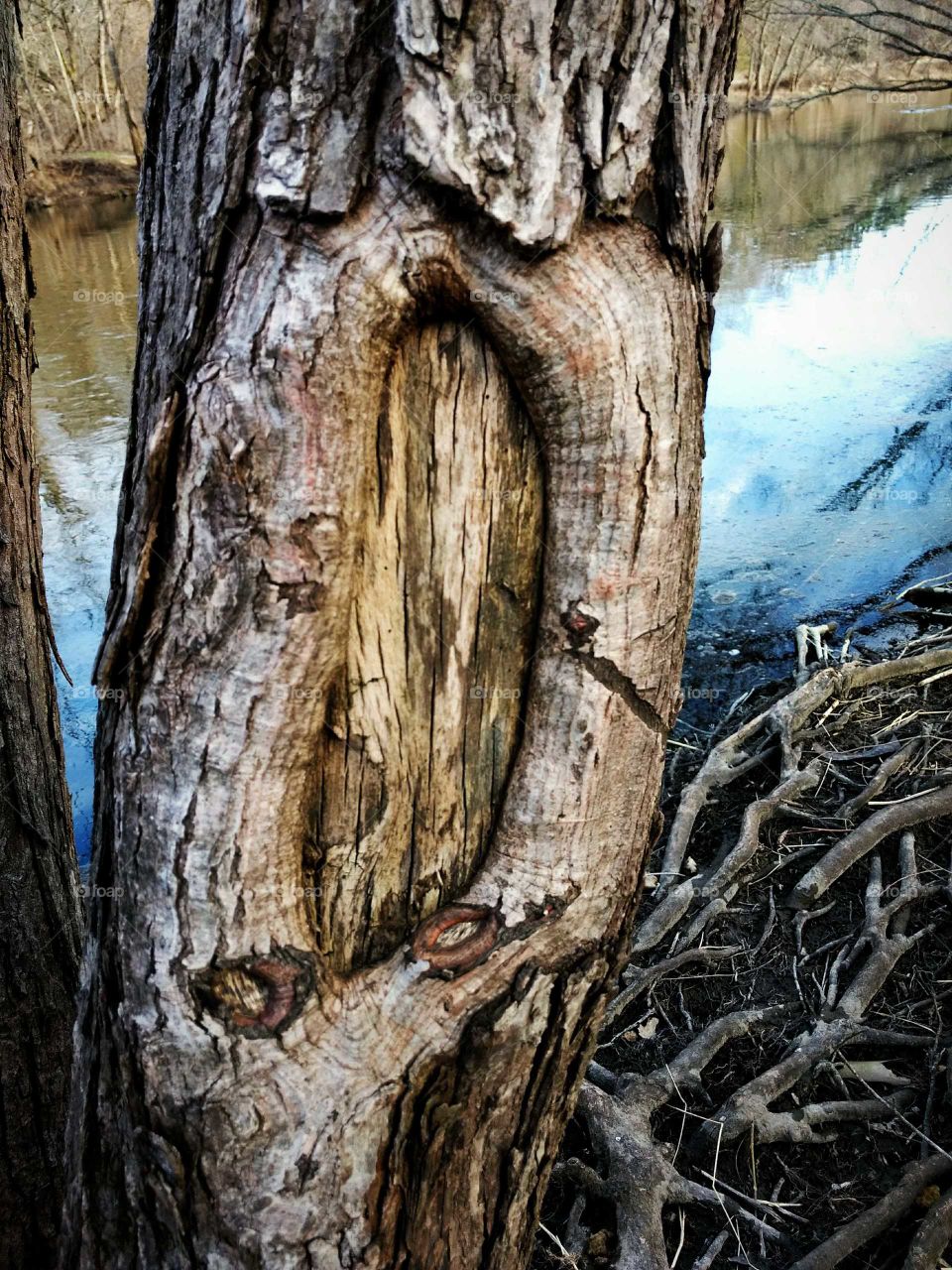 it's amazing to see all the different textures and patterns in the wood