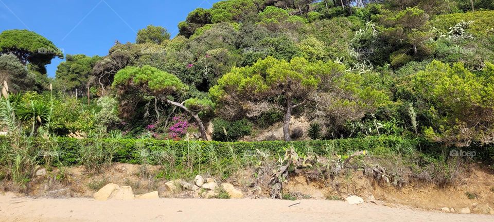 Paysage d'Espagne...