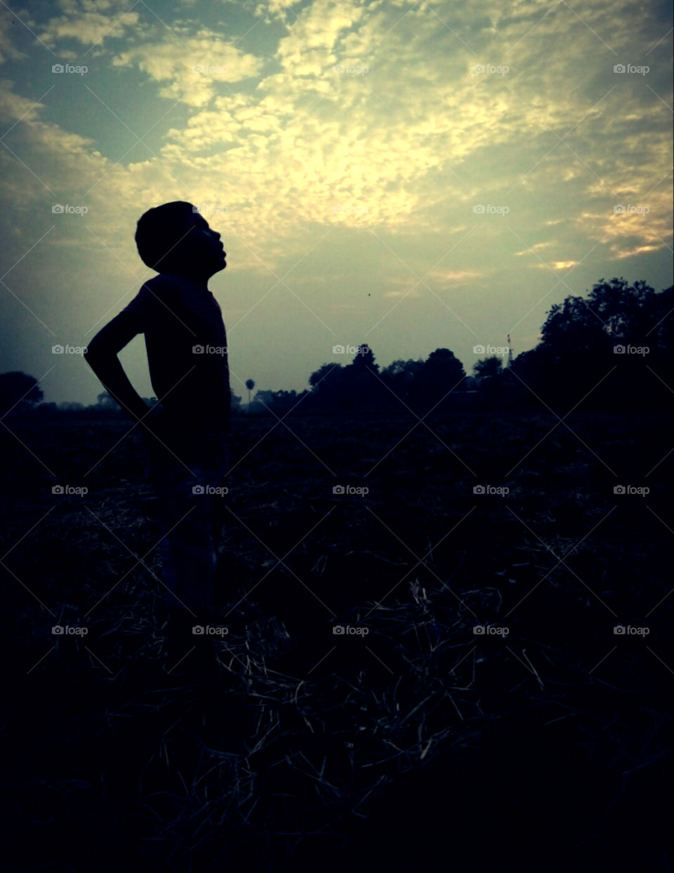 A photo in the evening of autumn,a photo of the autumn season,a photo of the beginning of the younger days,a photo of a wonderful season,a photo of a season,a photo of a beautiful autumn evening,a photo of a happy evening,boy & autumn evening photo