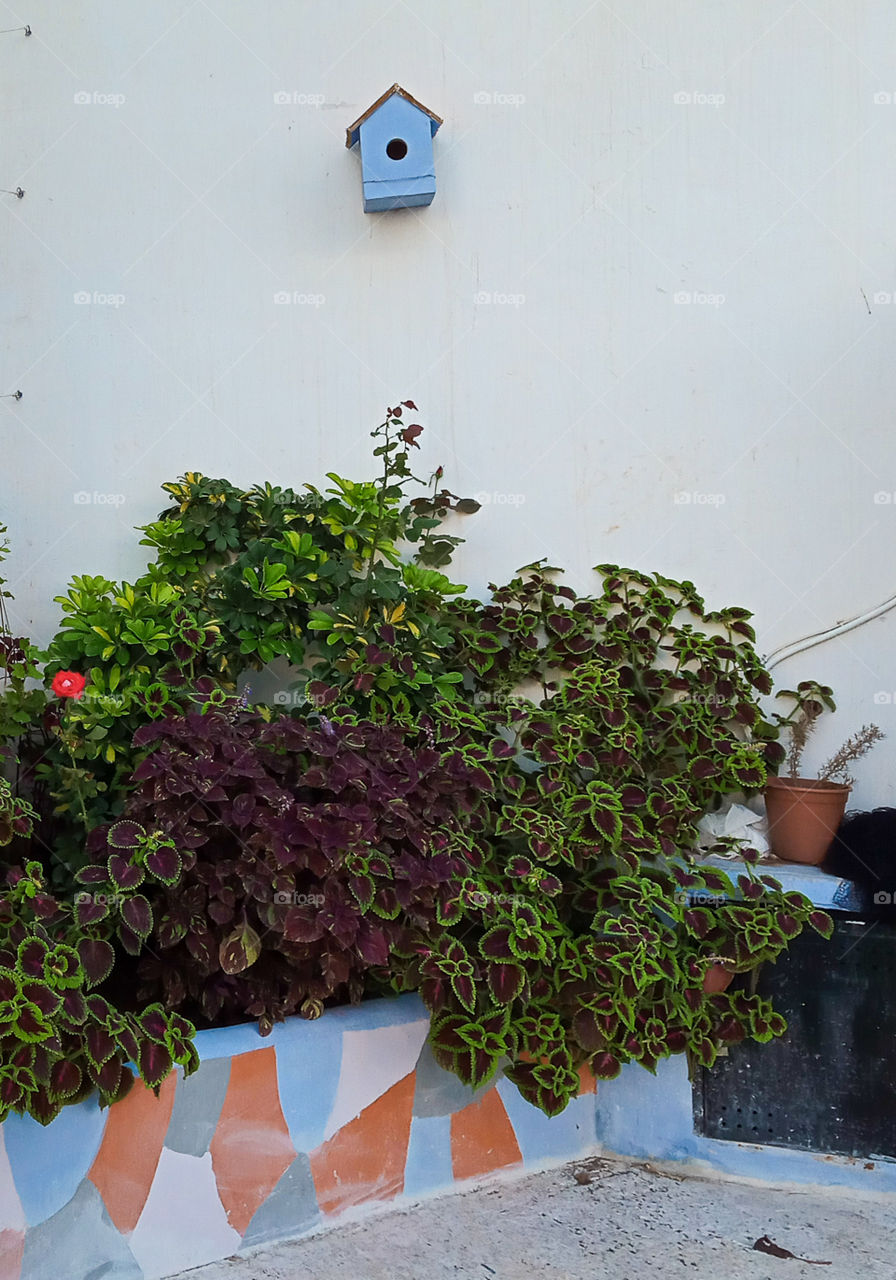 a bird niche on the white wall above a colorful plants