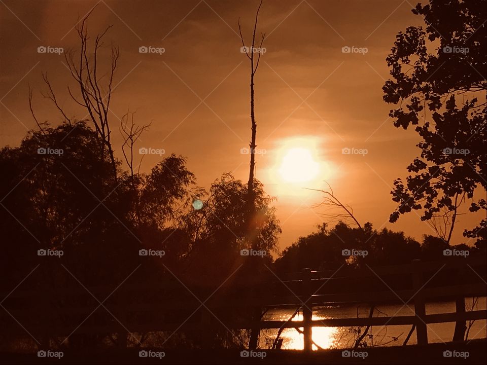 Timing is Critical, Patience is a virtue, Concentrating on the Subject will Yield Success. Beautiful lo light Sunset. Well Done. 
