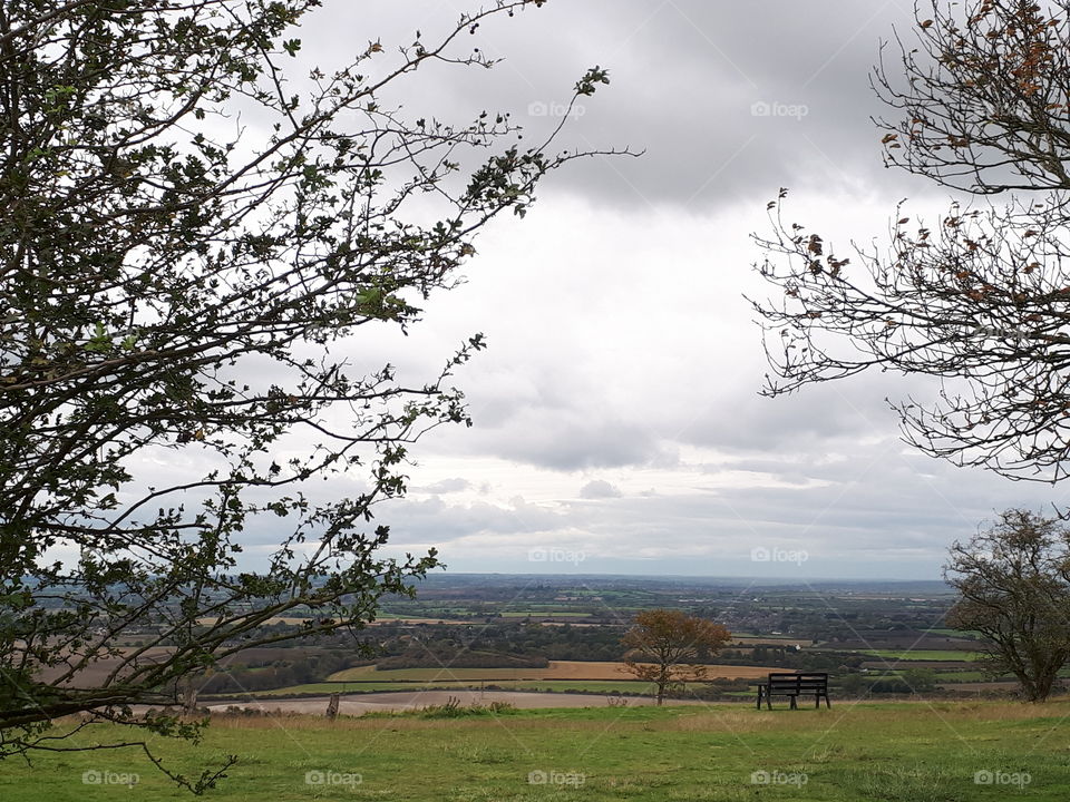 Tree, Landscape, No Person, Nature, Sky