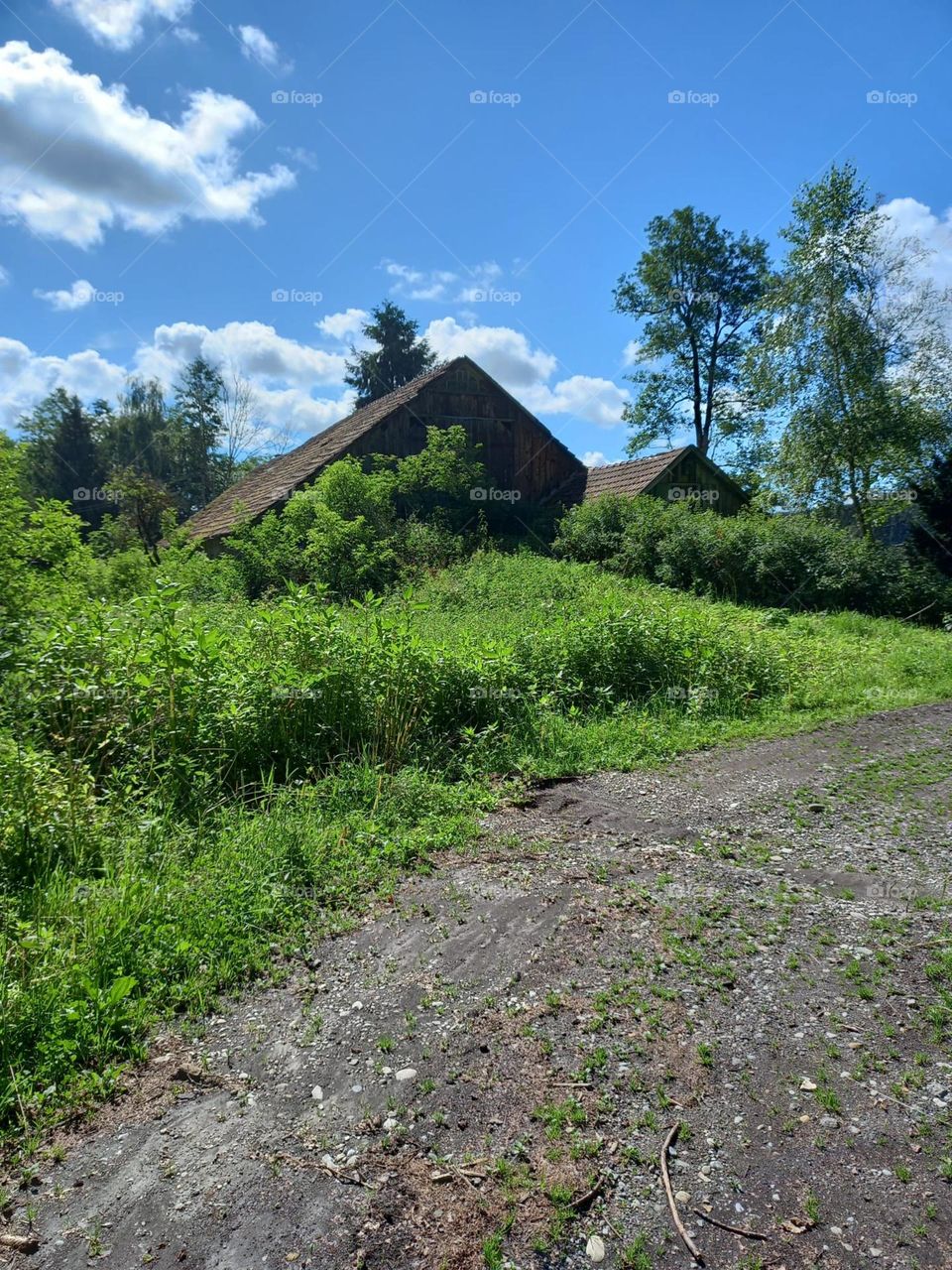 Old Barn Along Bavarian Road
