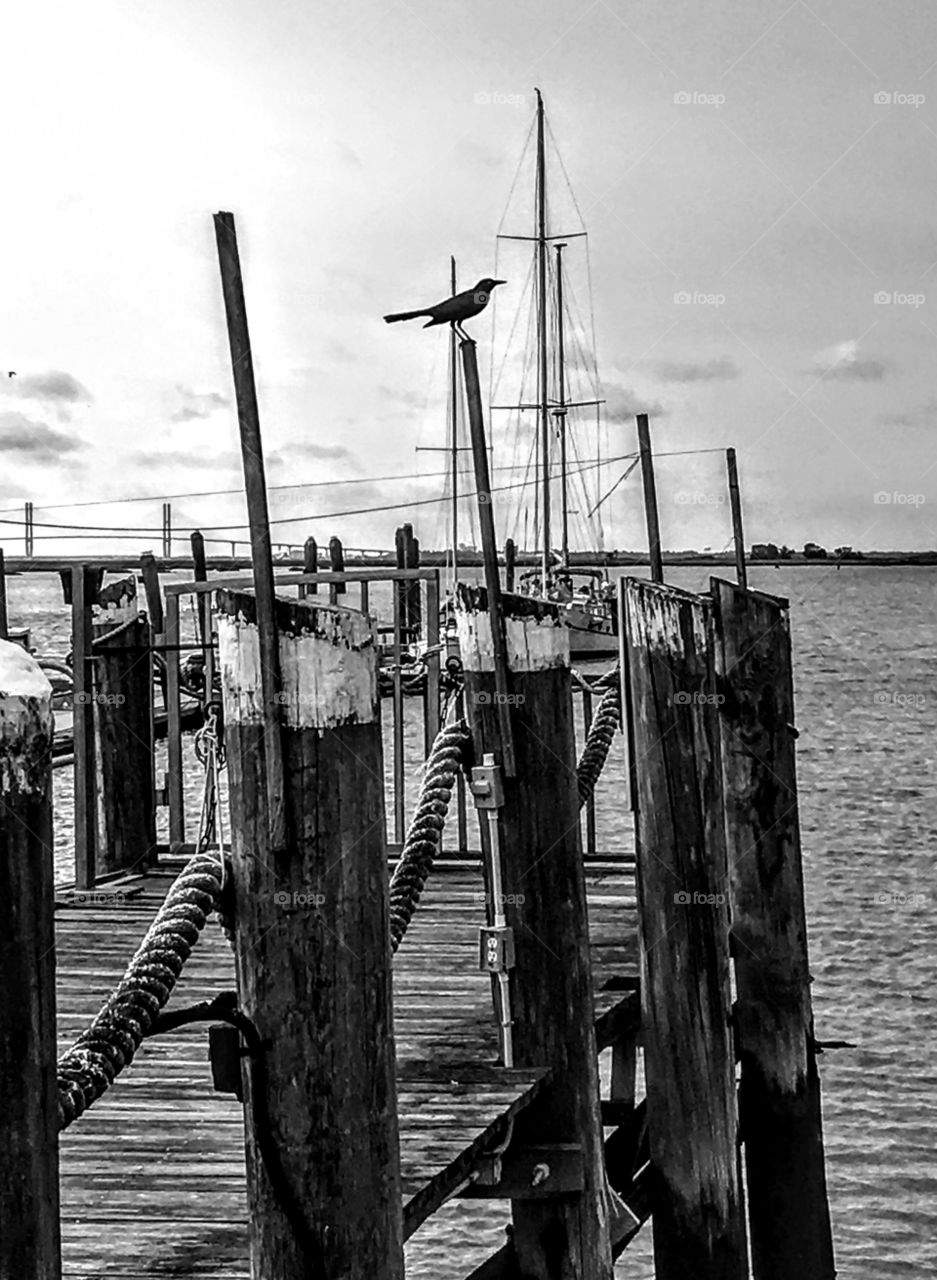 Evening at Fancy Scenic Creek - Jekyll Island, GA