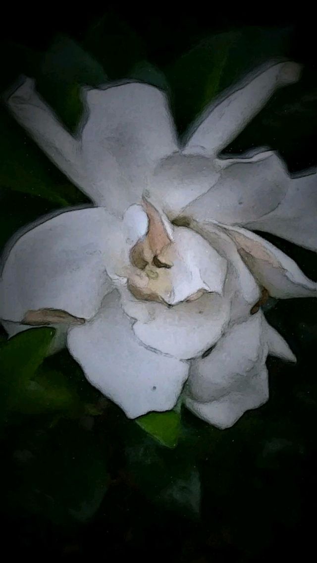 white flower