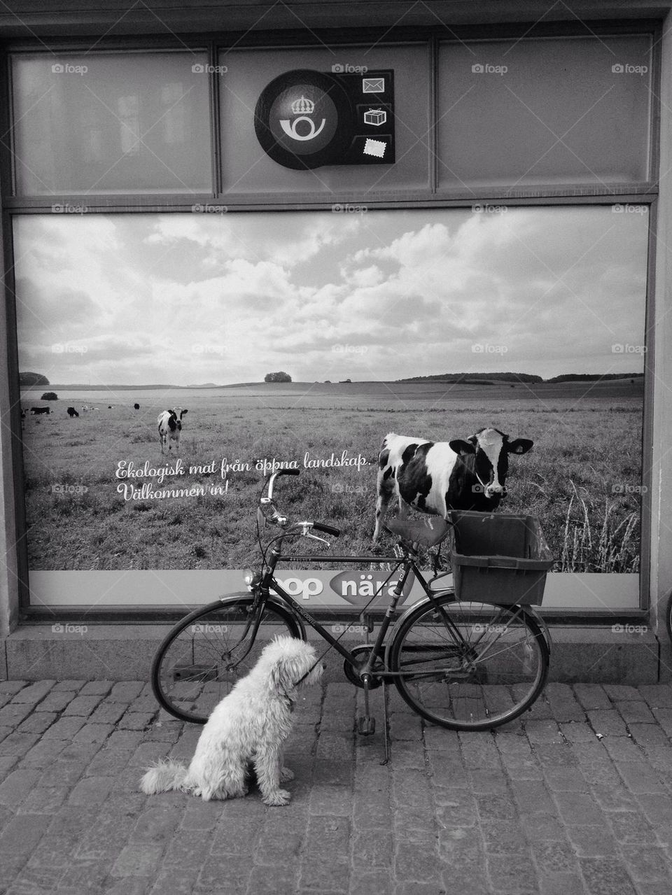 wait and nice posters