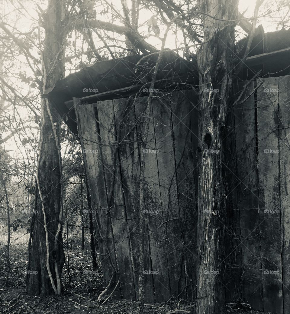 Old shack 