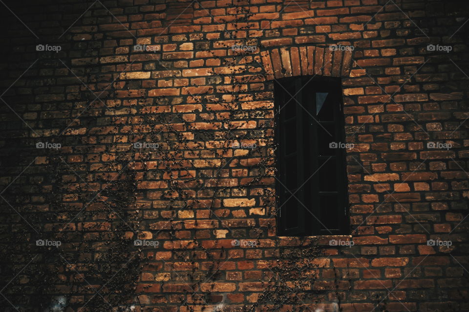 Bricks and window old