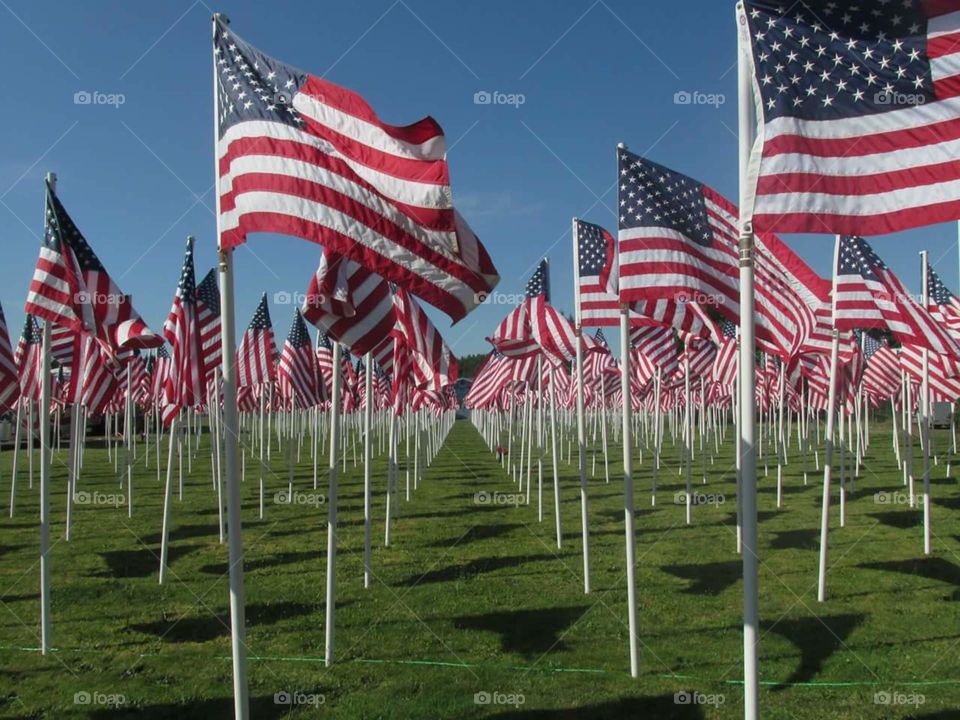 flags for the  fallen soldiers