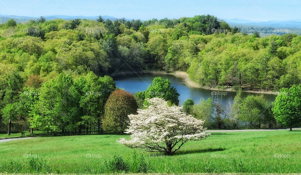 Spring in the state of NY