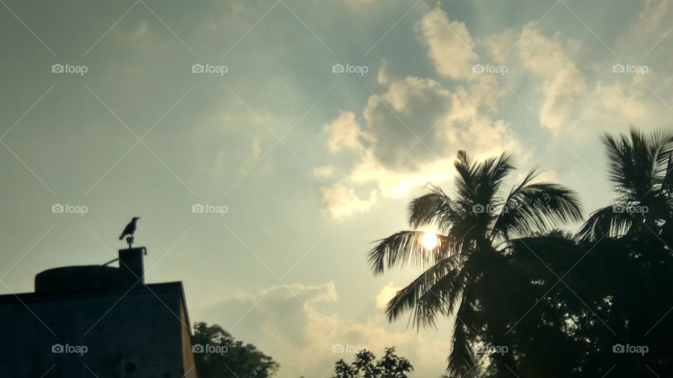 Beautiful clouds and 
one crow on the wall look very Beautifully