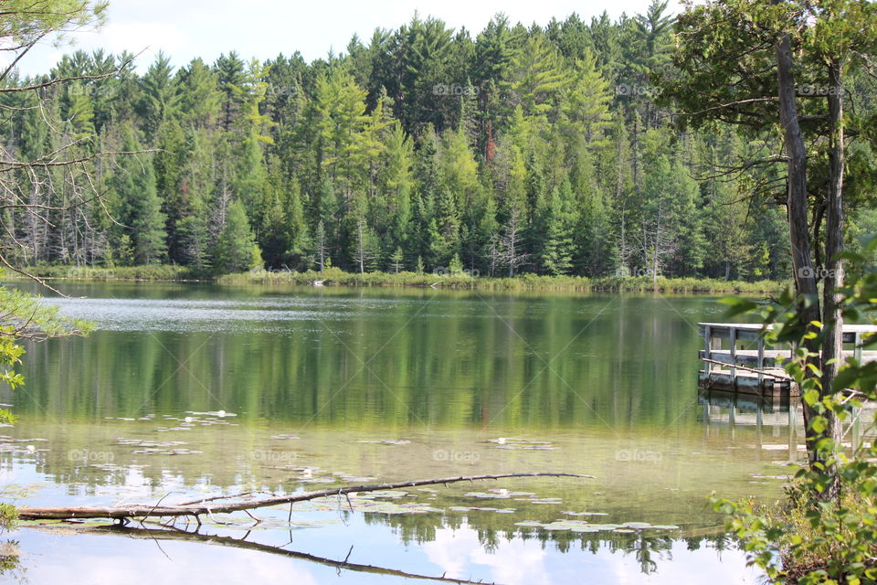 nature's reflection on a beautiful summer day in northern Michigan on a peaceful little lake surrounded by pine trees