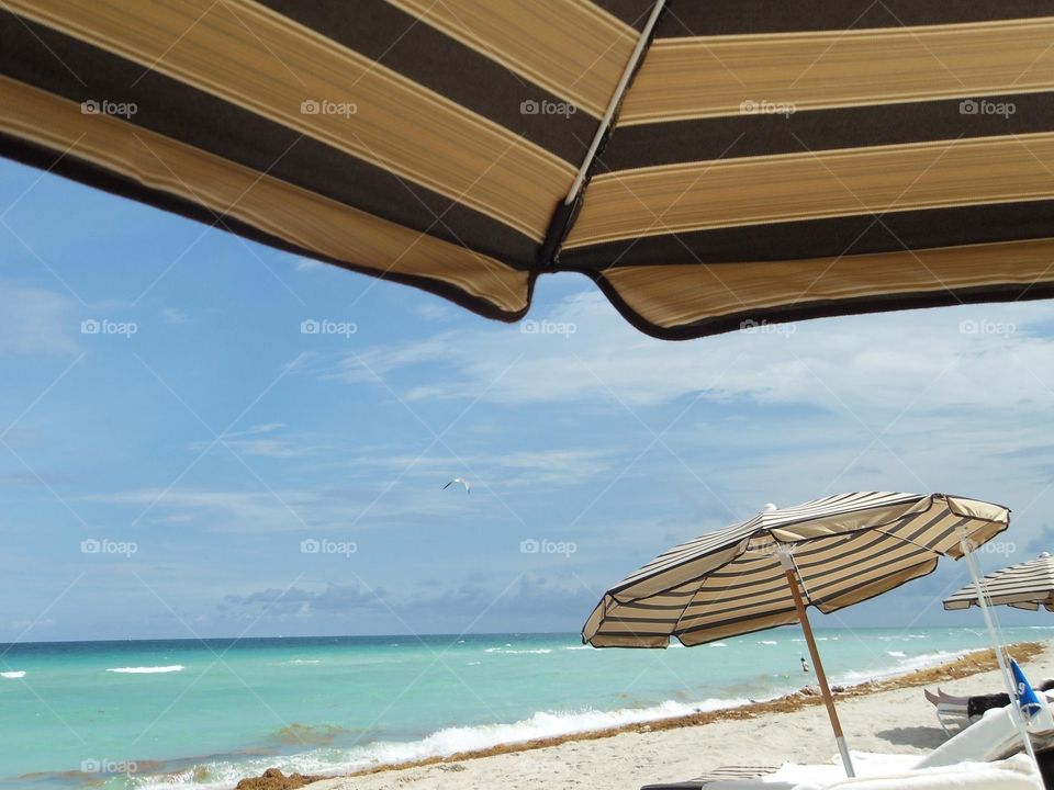 Beach umbrellas 