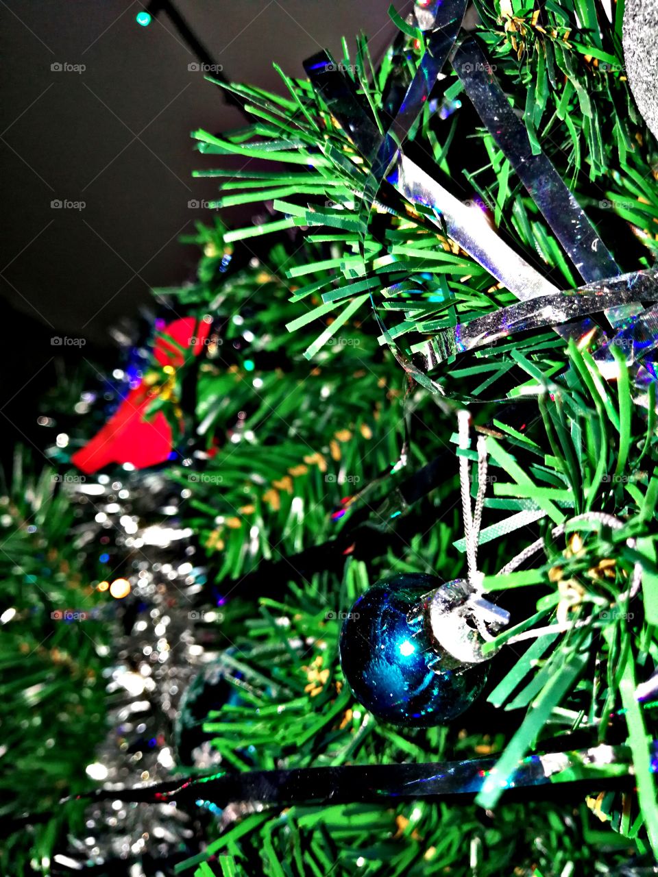 Christmas, Tree, Winter, Decoration, Celebration