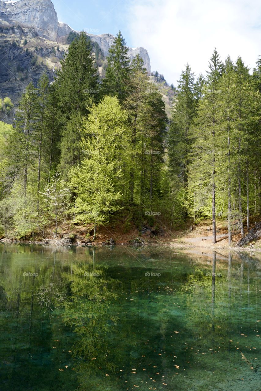 Écrin de verdure au printemps dans le Haut-Giffre (Alpes, France)