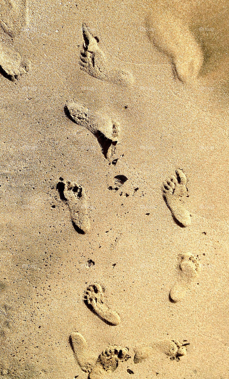 beach sand foot footprints by sandborgskan