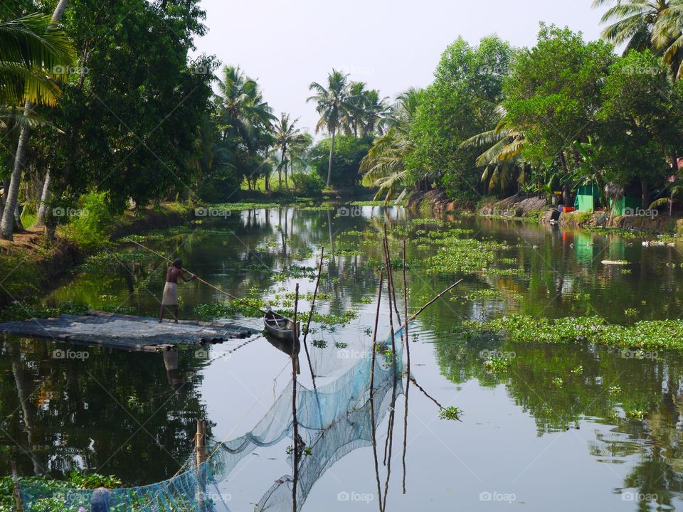 Water, Tree, Tropical, No Person, Nature