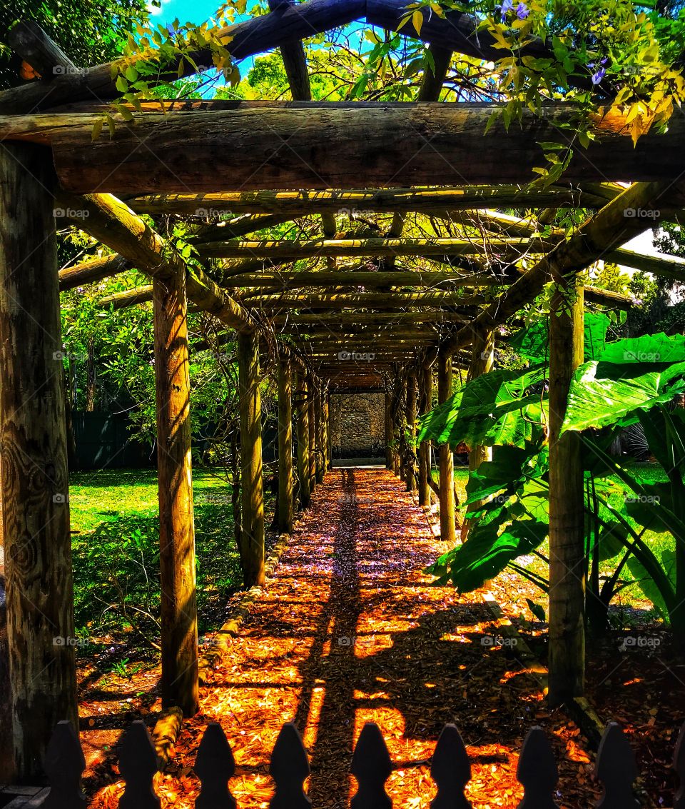 Gazebo in a garden—taken in St. Augustine, Florida