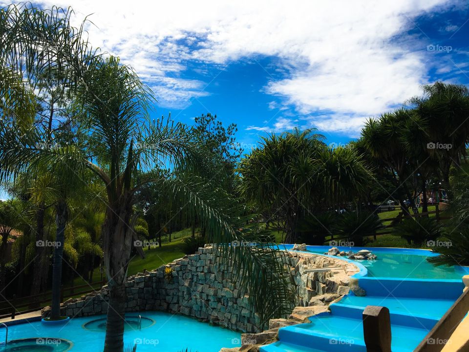 Palm trees at cascading pool