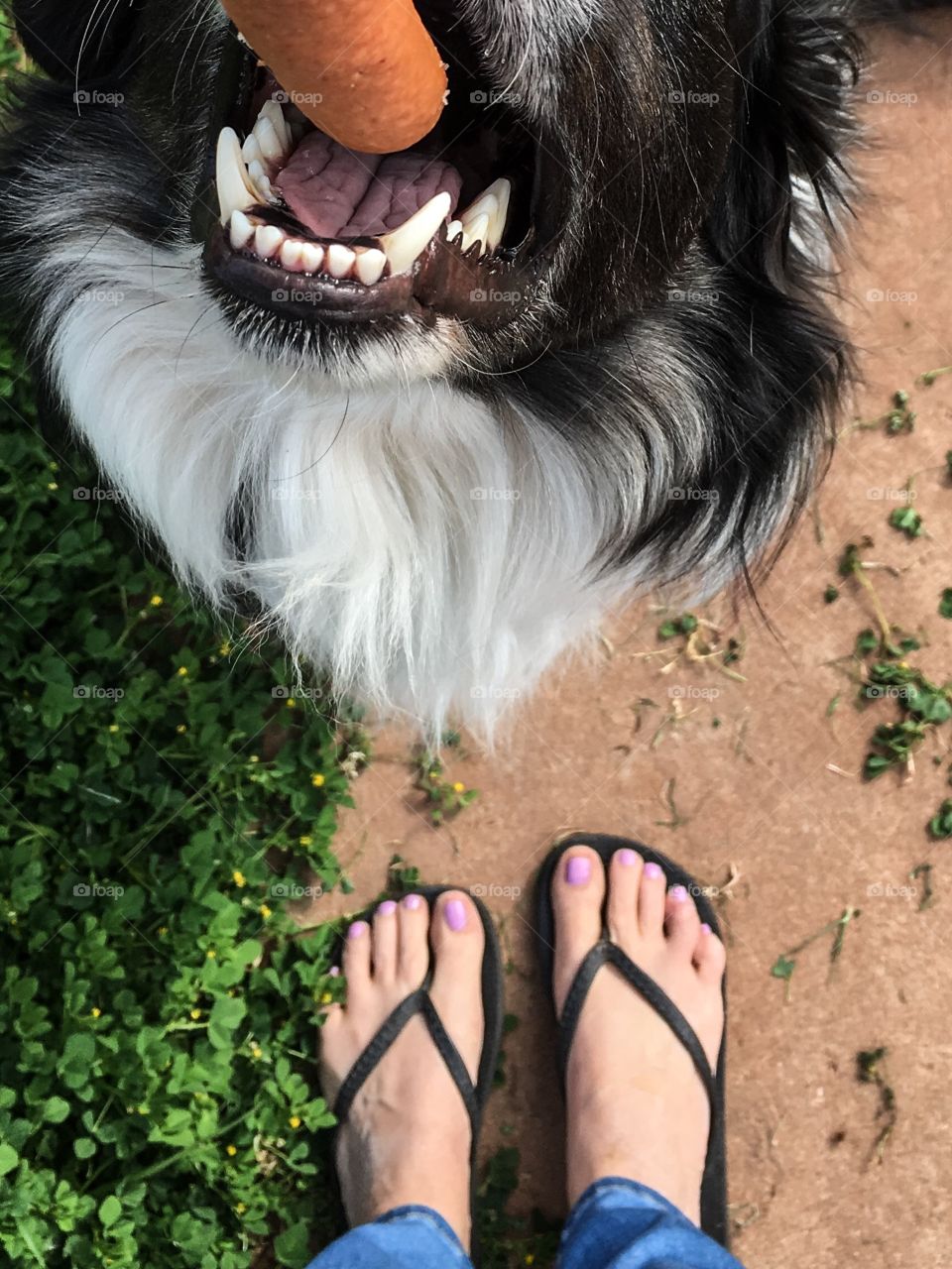 From where I stand in front of dog holding treat