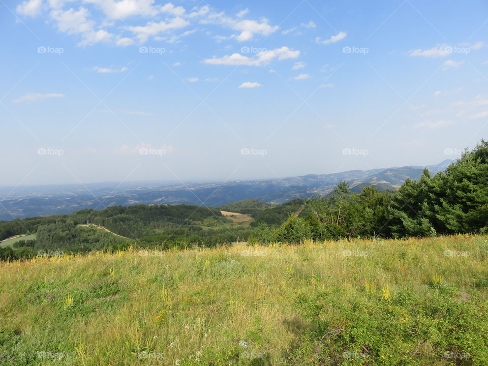 Yellow pasture on sunny hill. Autumn Is coming