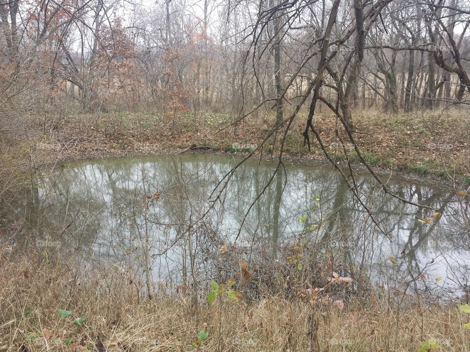 hidden pond