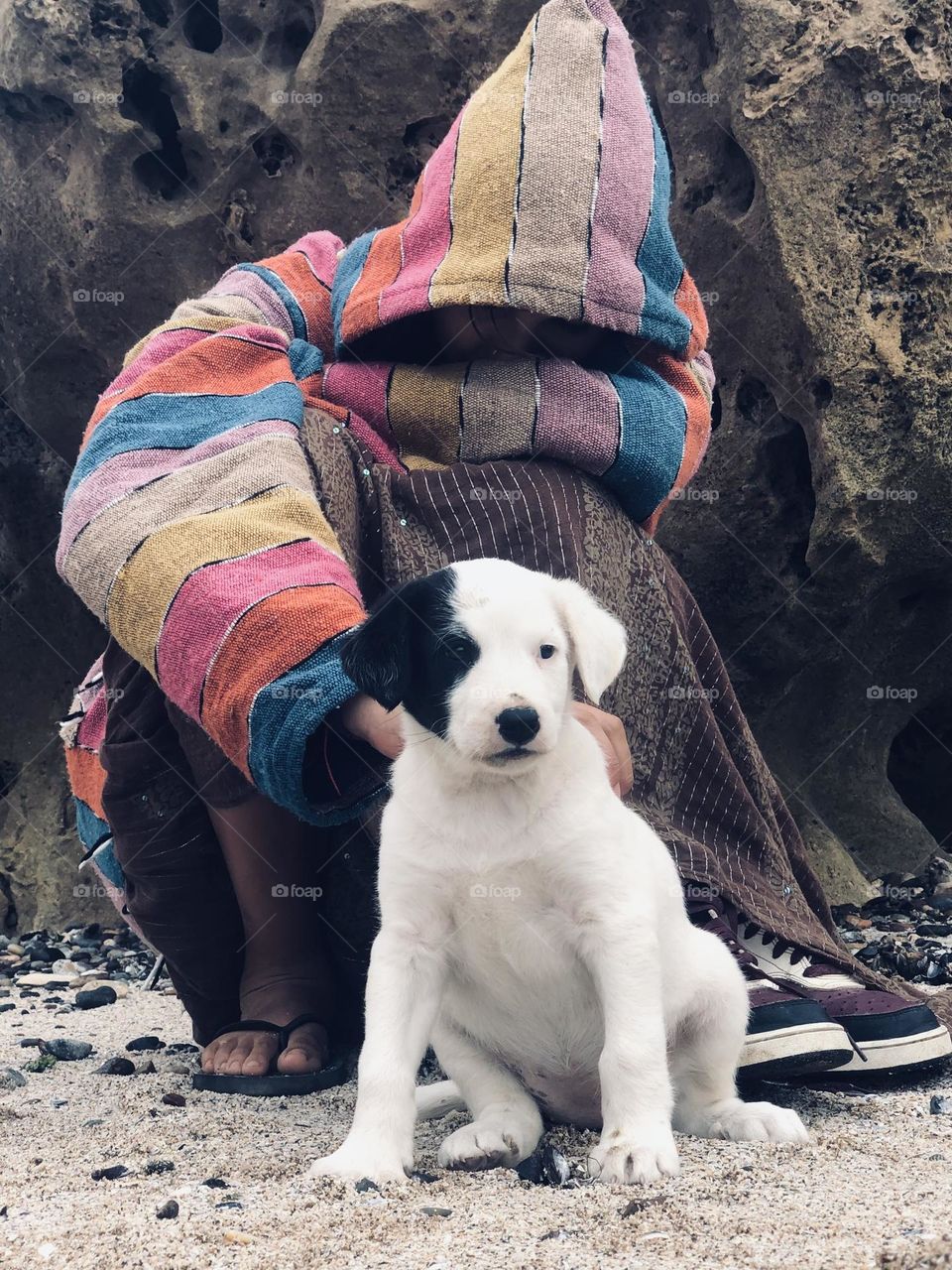 The young woman and the little puppy