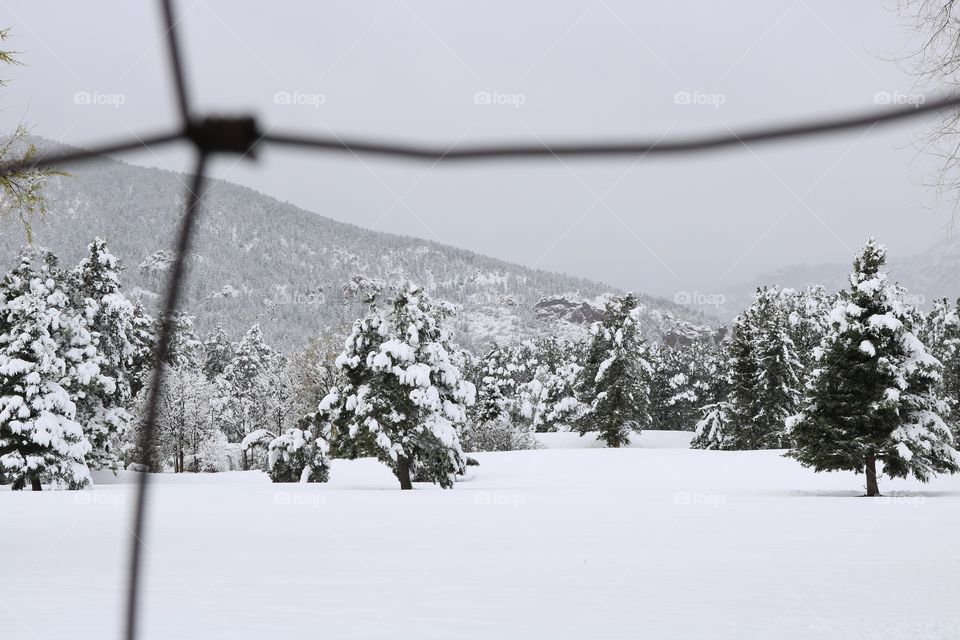 Snow mountains through wire fence