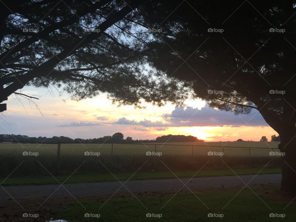 Landscape, Tree, Dawn, Sunset, Silhouette